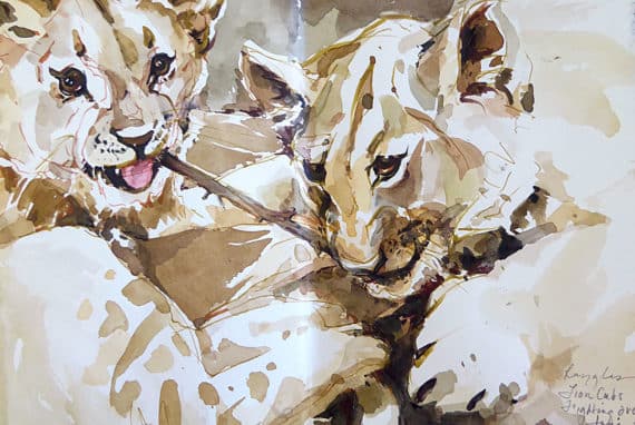 Southern Africa sketchbook - lion cubs fighting over a stick